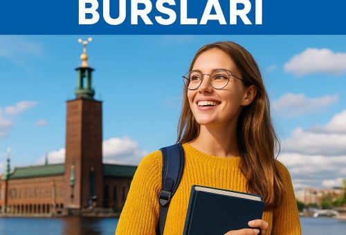 İsveç eğitim bursları